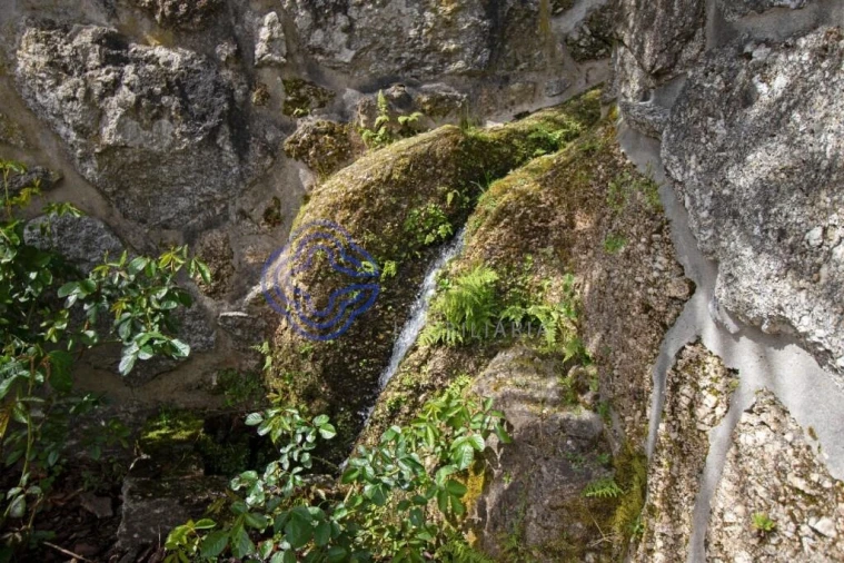 Quinta T5 para Venda em Moreira do Rei e Várzea Cova Foto 77