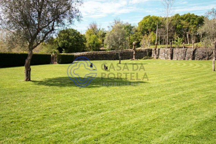 Quinta T5 para Venda em Moreira do Rei e Várzea Cova Foto 95