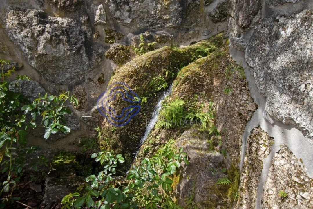 Quinta T5 para Venda em Moreira do Rei e Várzea Cova Foto 77