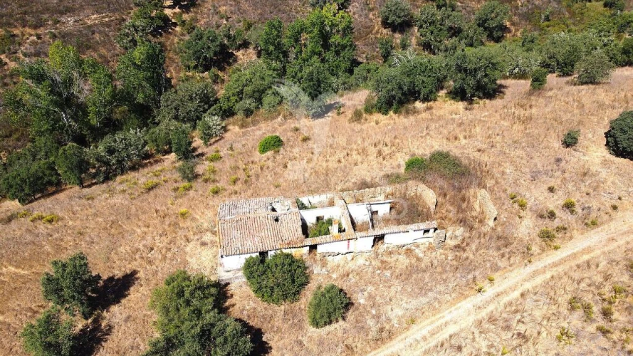 Quinta para Venda em São Salvador e Santa Maria Foto 9