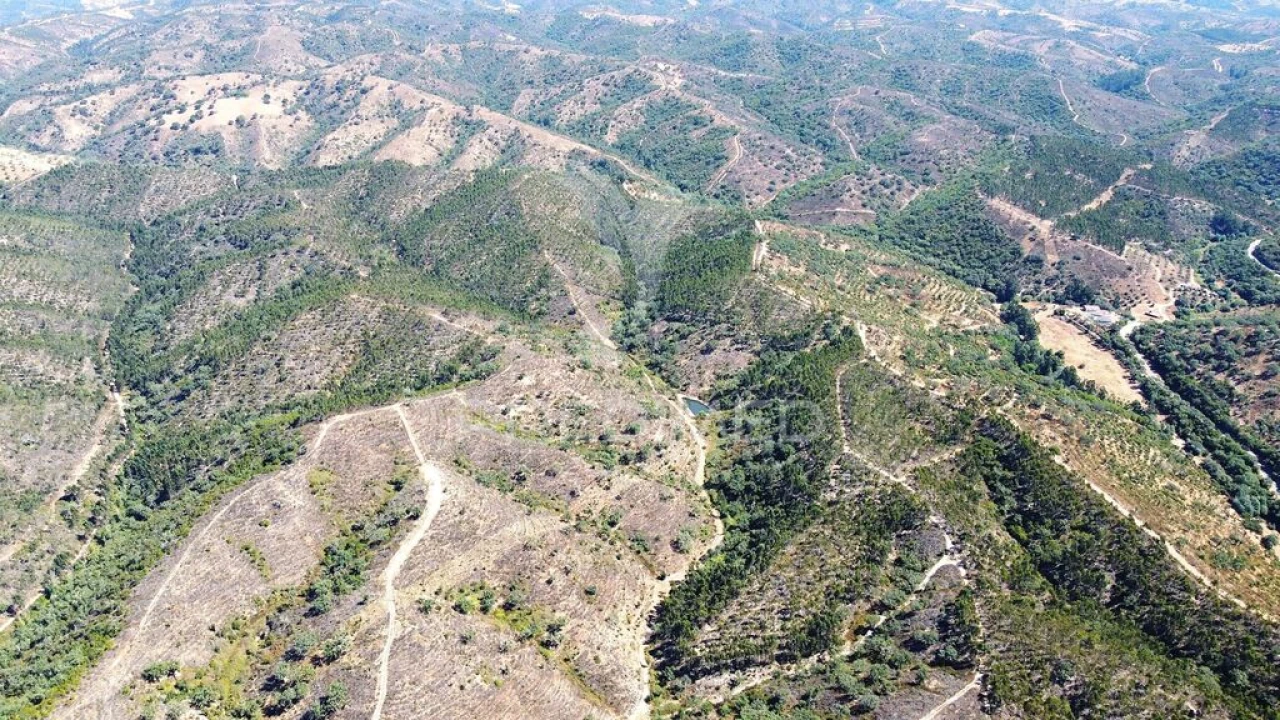 Quinta para Venda em São Salvador e Santa Maria Foto 6