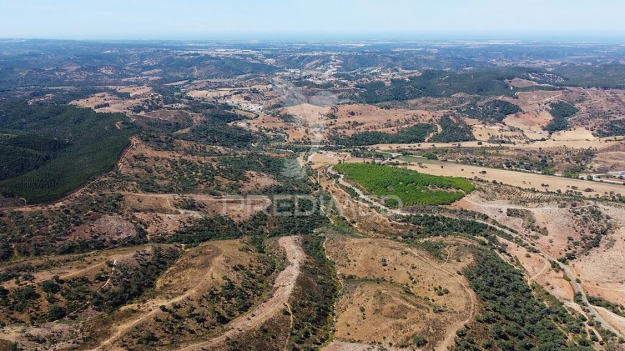 Quinta para Venda em São Salvador e Santa Maria Foto 7