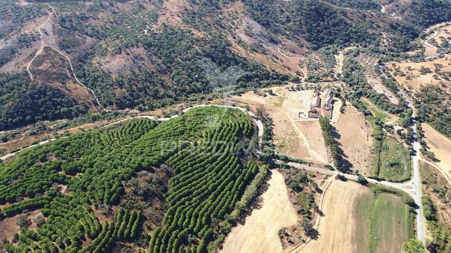 Quinta para Venda em São Salvador e Santa Maria Foto 14