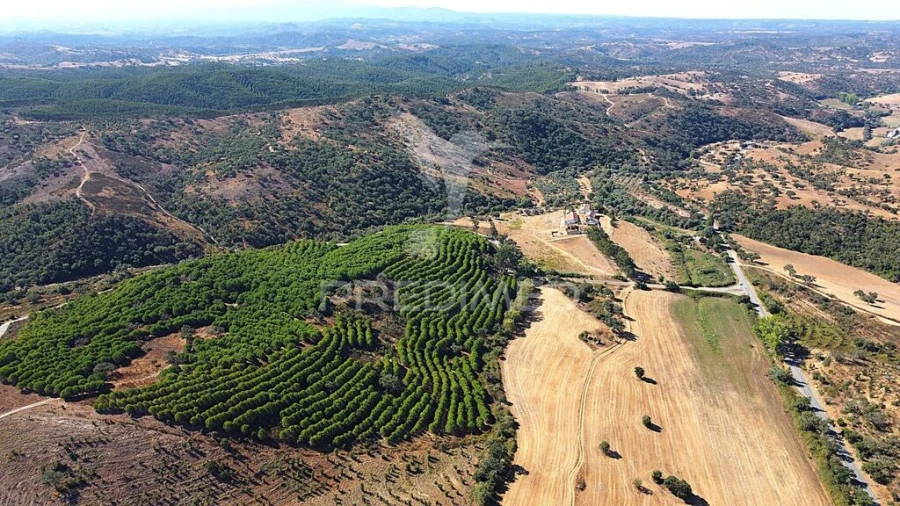 Quinta para Venda em São Salvador e Santa Maria Foto 12