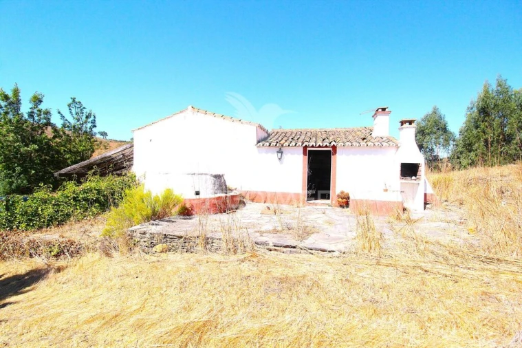 Quinta para Venda em São Salvador e Santa Maria Foto 17