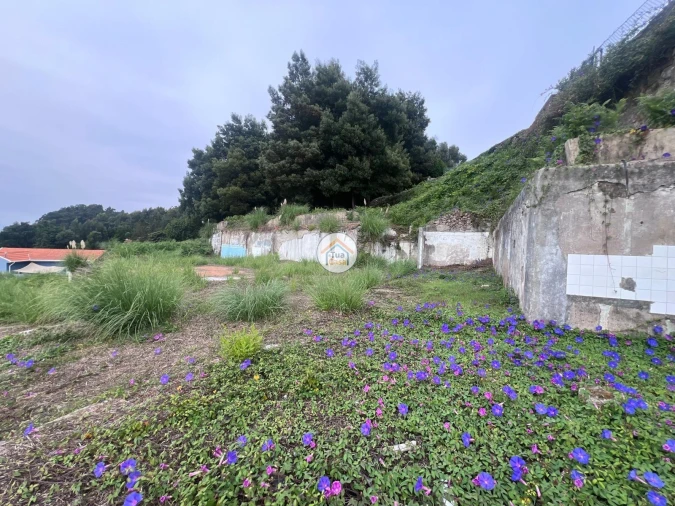 Terreno para Venda em Canelas Foto 16