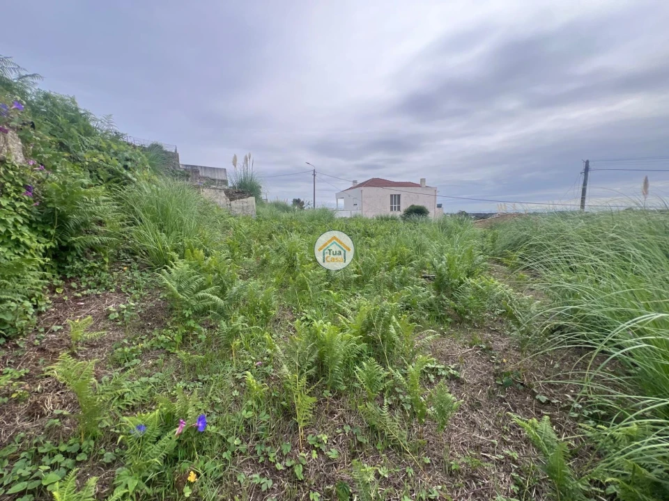 Terreno para Venda em Canelas Foto 5