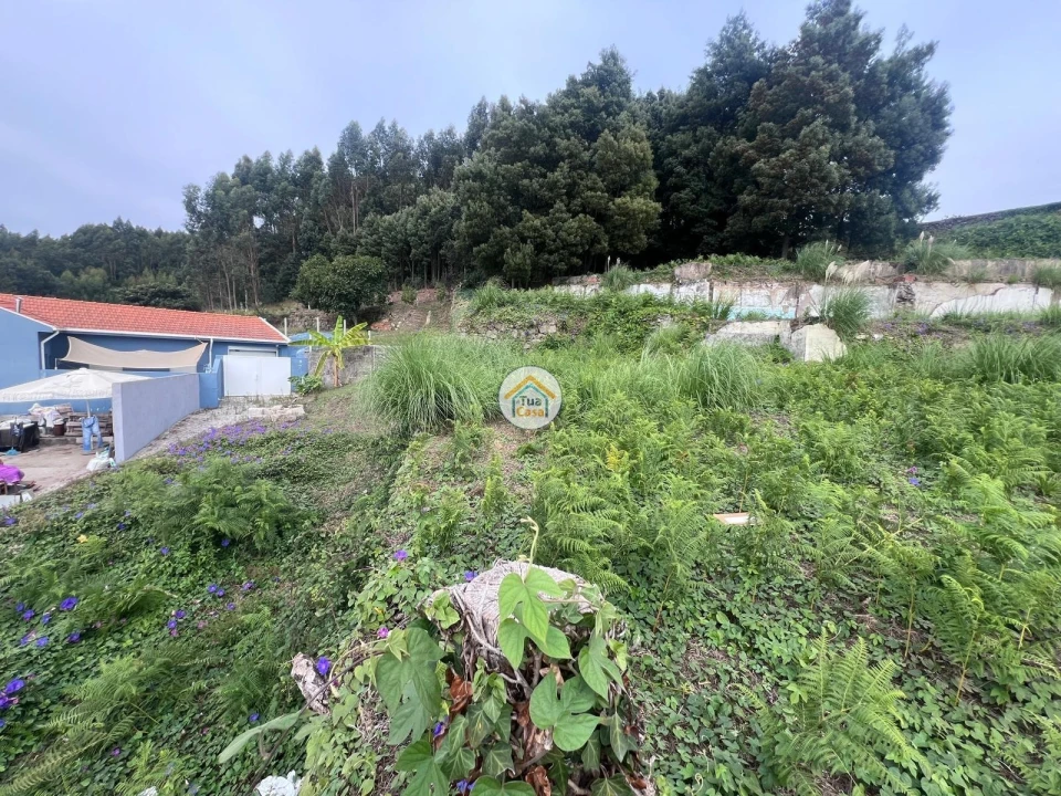 Terreno para Venda em Canelas Foto 9