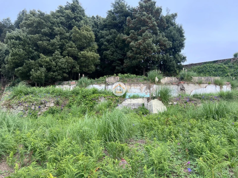 Terreno para Venda em Canelas Foto 13