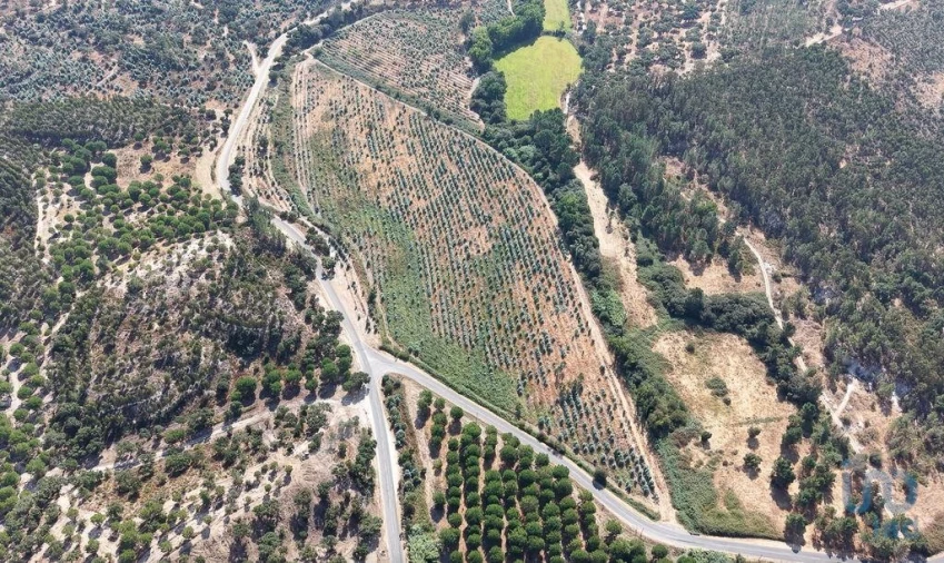 Terreno para Venda em Alpiarça Foto 7