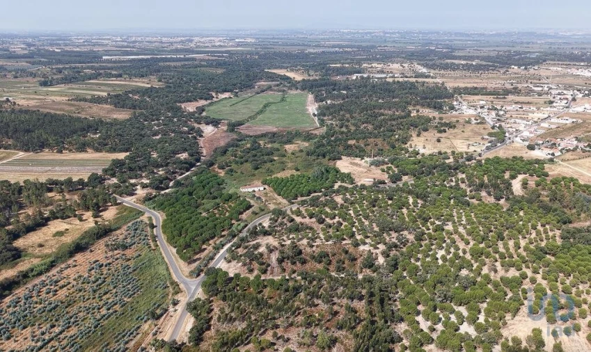 Terreno para Venda em Alpiarça Foto 9