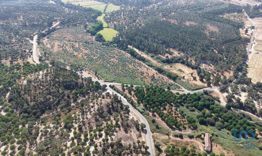 Terreno para Venda em Alpiarça Foto 4