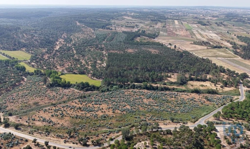 Terreno para Venda em Alpiarça Foto 3