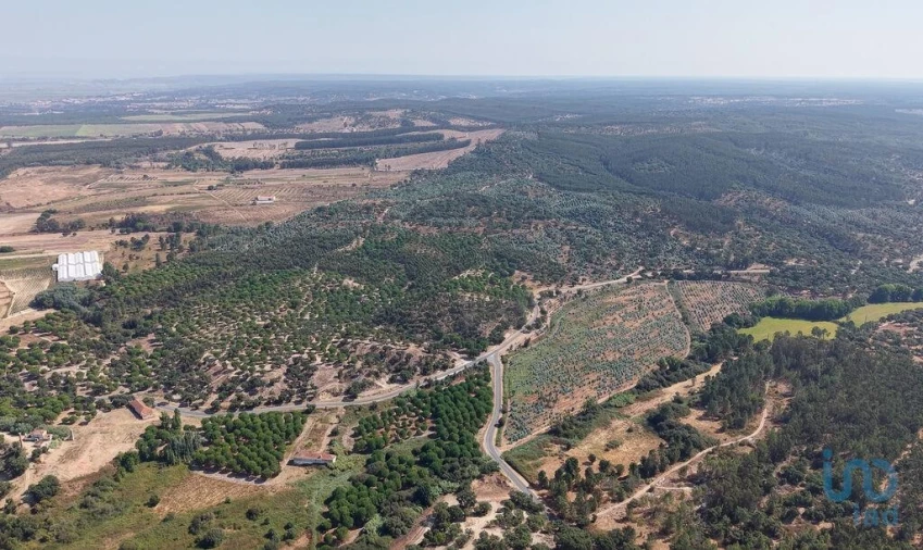 Terreno para Venda em Alpiarça Foto 10