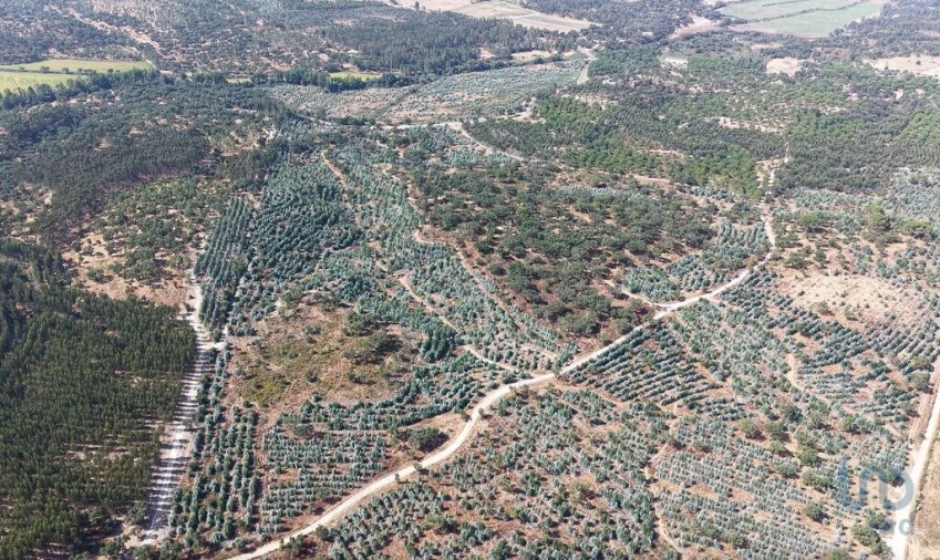 Terreno para Venda em Alpiarça Foto 5