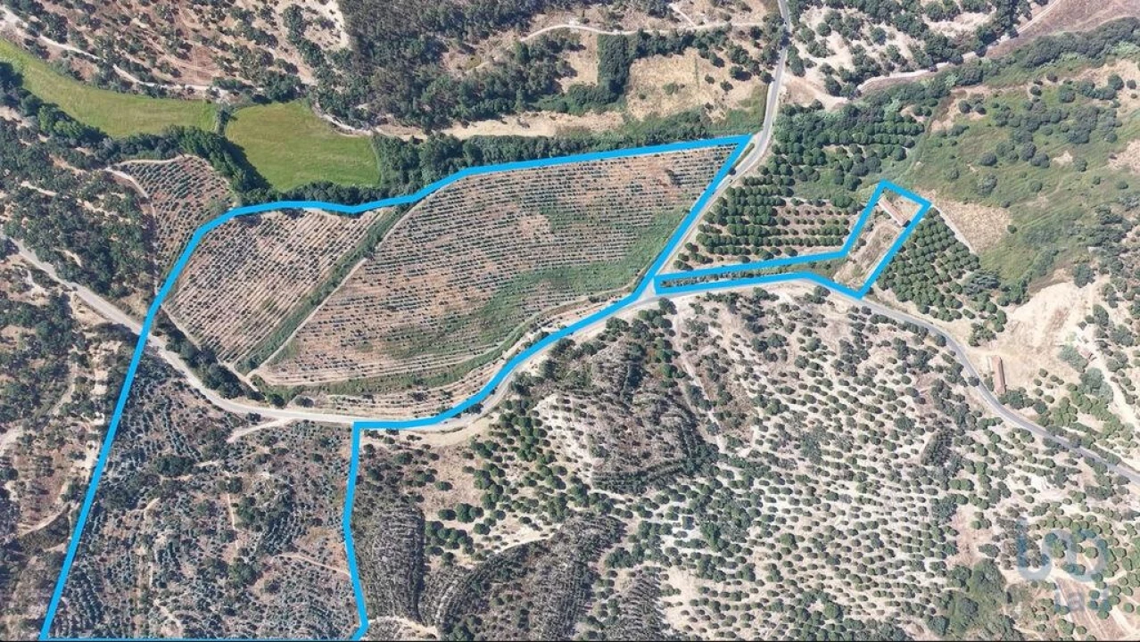 Terreno para Venda em Alpiarça Foto 14
