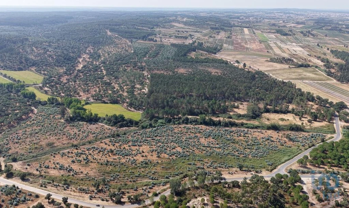 Terreno para Venda em Alpiarça Foto 3