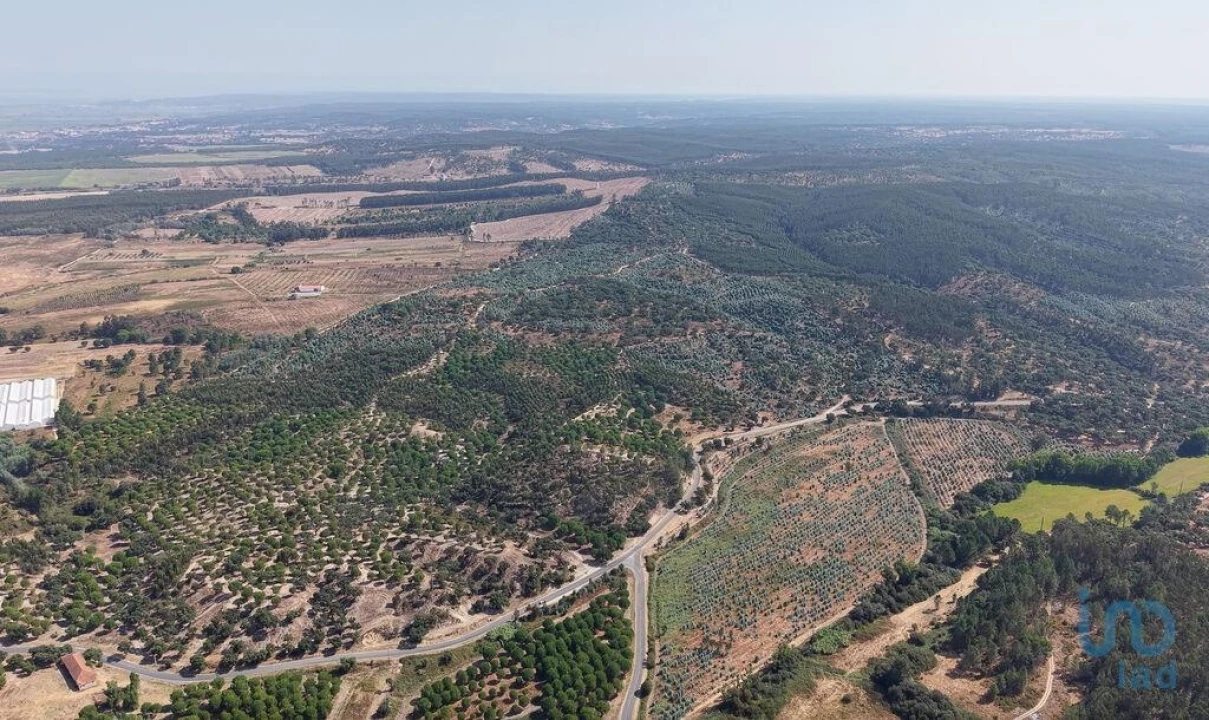 Terreno para Venda em Alpiarça Foto 12