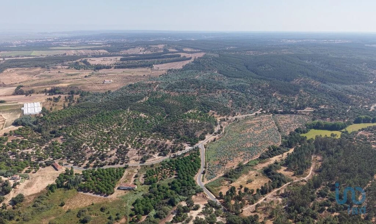 Terreno para Venda em Alpiarça Foto 10