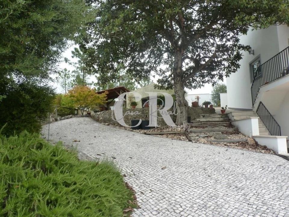 Moradia T3 para Venda em Pousaflores Foto 57