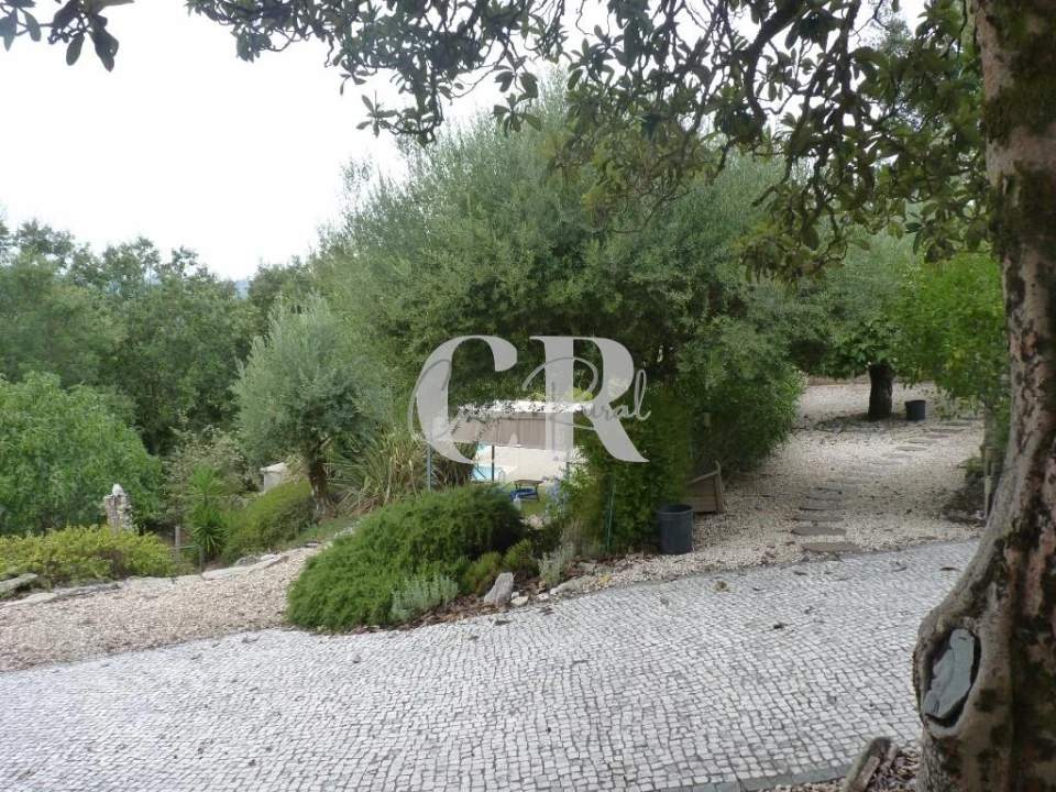 Moradia T3 para Venda em Pousaflores Foto 50