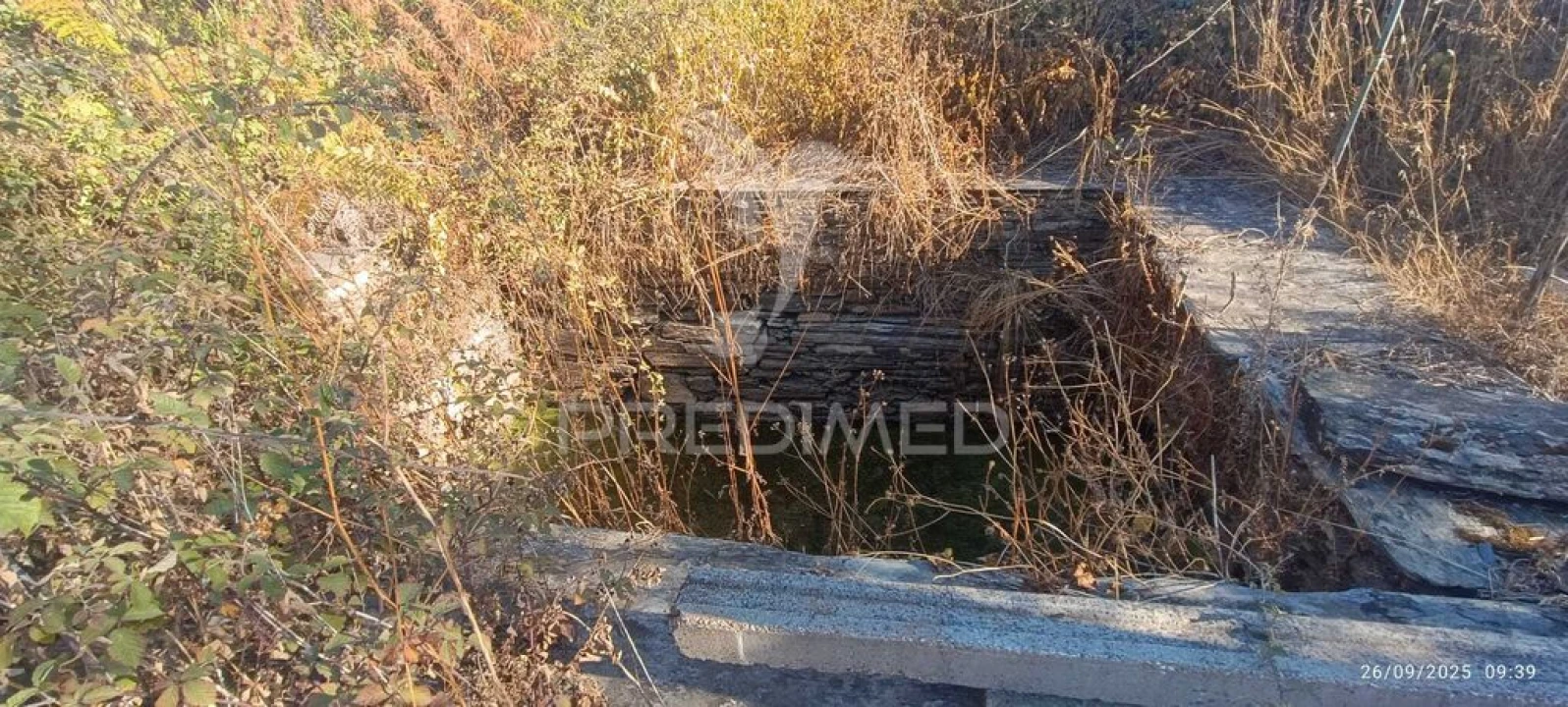 Terreno para Venda em Montalvão Foto 16