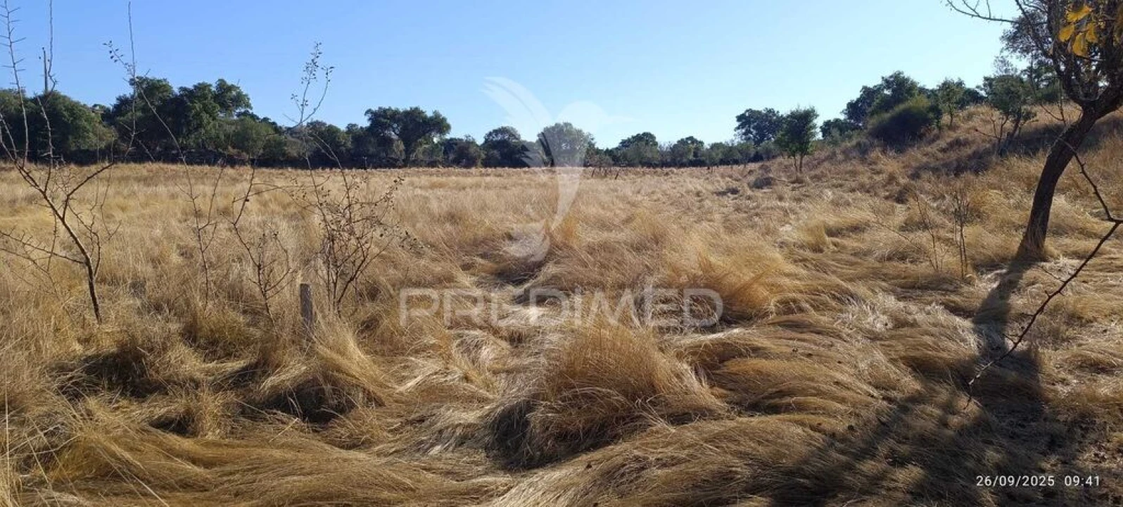 Terreno para Venda em Montalvão Foto 4