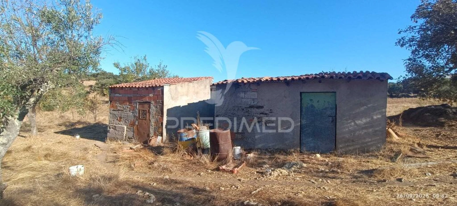 Terreno para Venda em Montalvão Foto 20