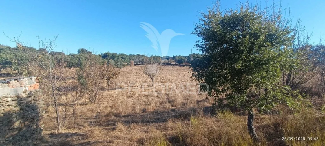 Terreno para Venda em Montalvão Foto 5
