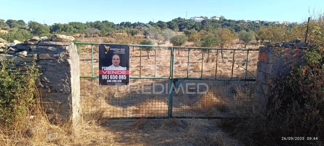 Terreno para Venda em Montalvão