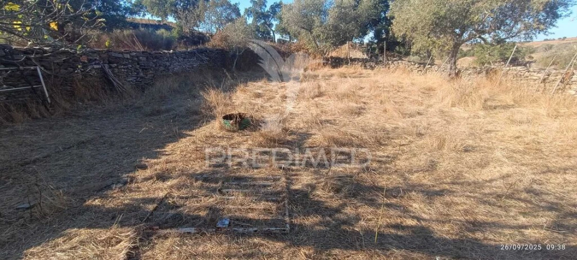 Terreno para Venda em Montalvão Foto 12