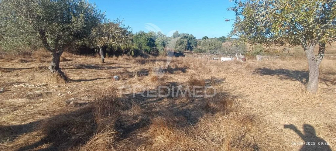 Terreno para Venda em Montalvão Foto 13