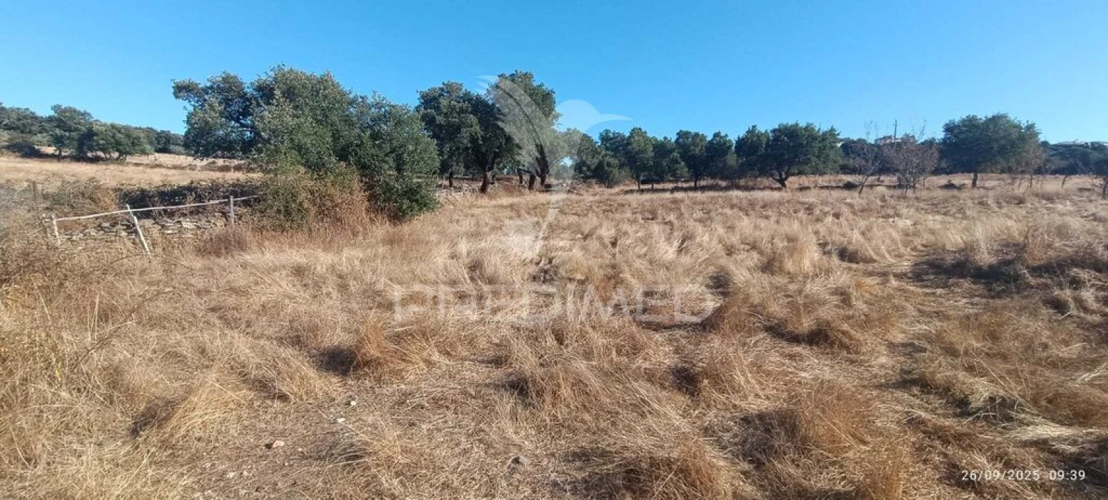 Terreno para Venda em Montalvão Foto 10