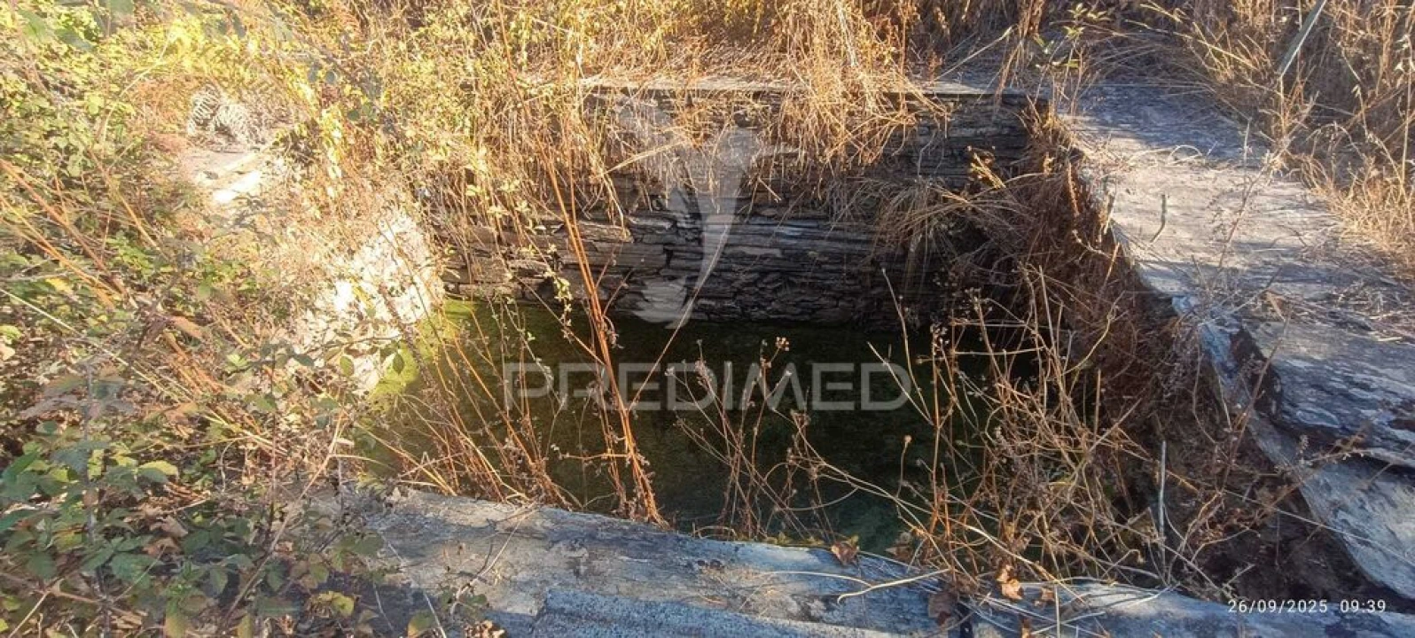 Terreno para Venda em Montalvão Foto 15