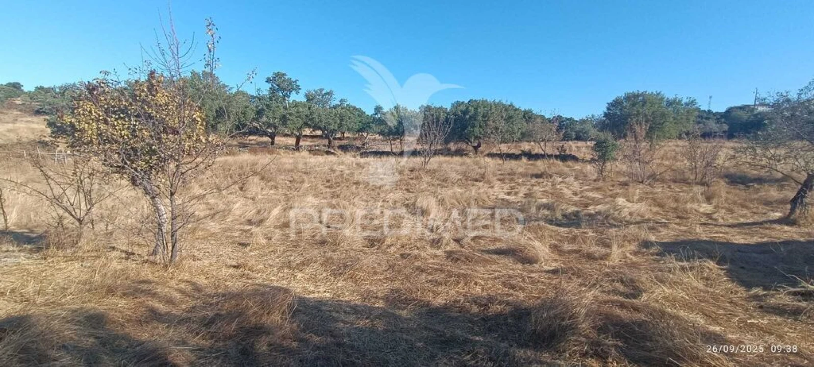 Terreno para Venda em Montalvão Foto 11