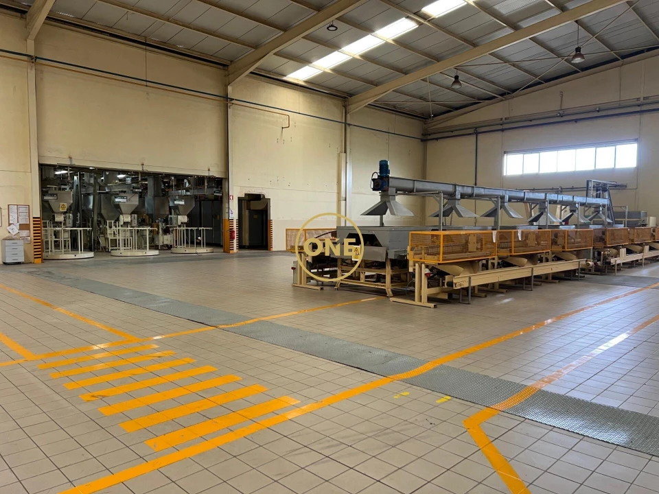 Armazém para Venda em Gavião e Atalaia Foto 40