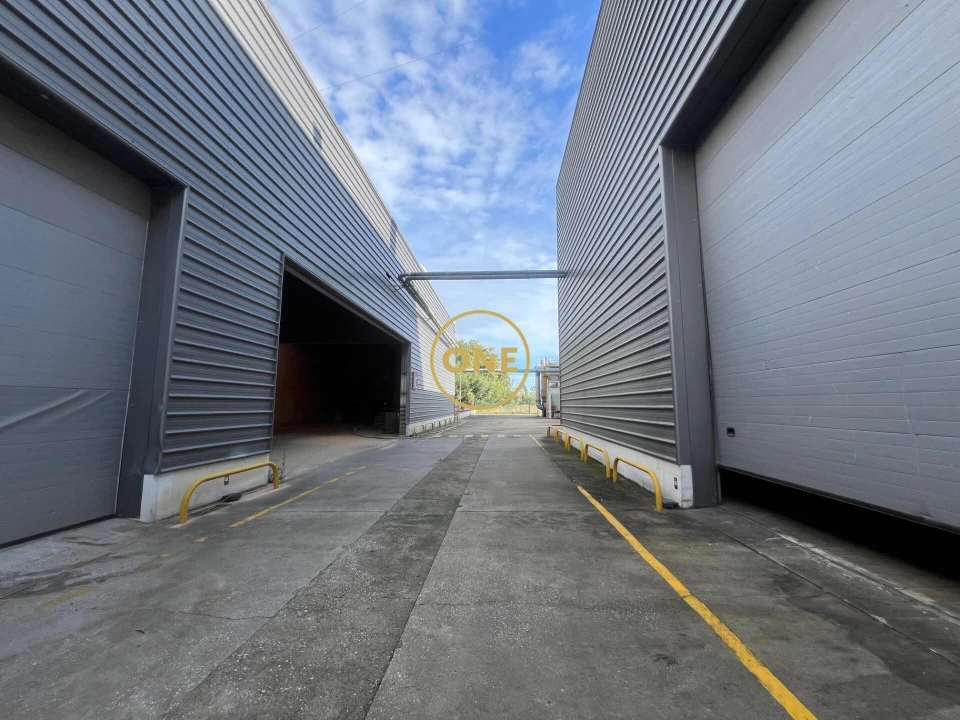 Armazém para Venda em Gavião e Atalaia Foto 62