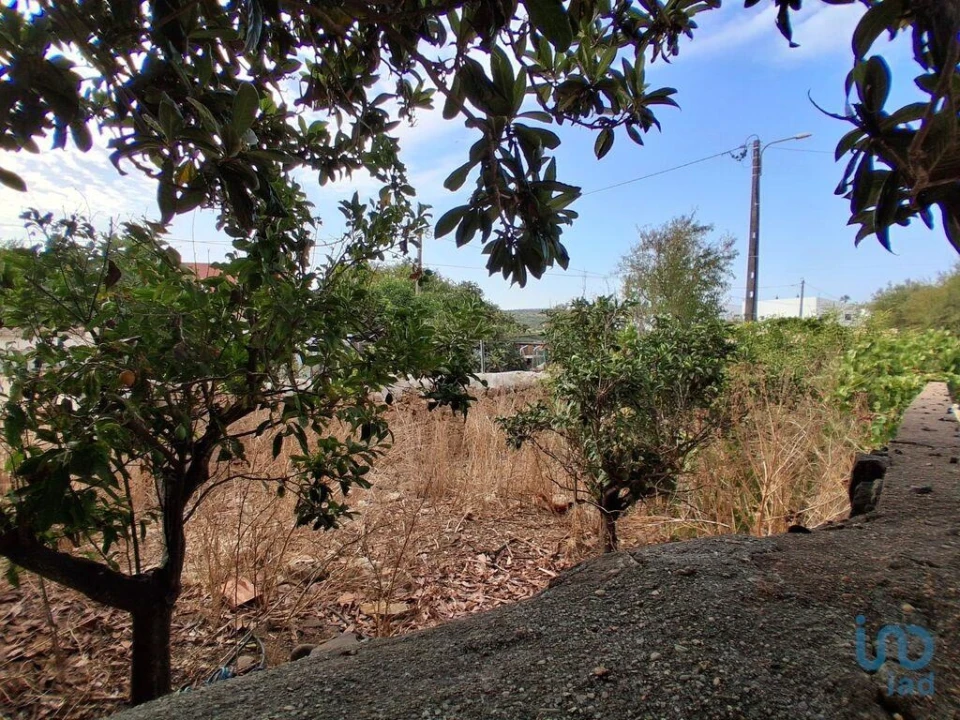 Terreno para Venda em Luz Foto 2