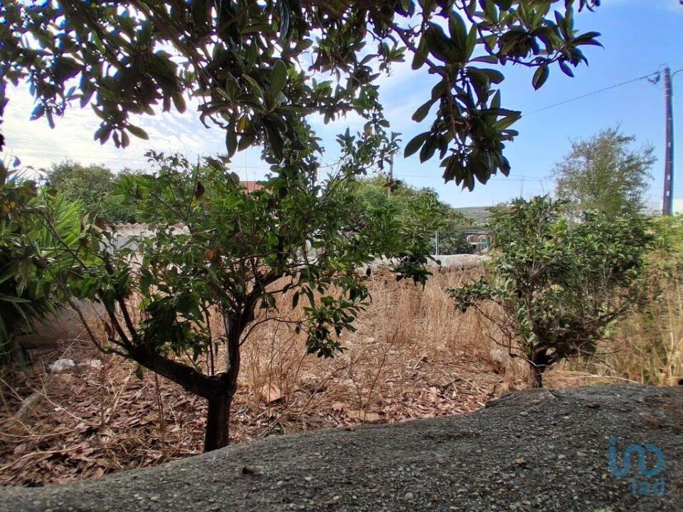 Terreno para Venda em Luz Foto 1