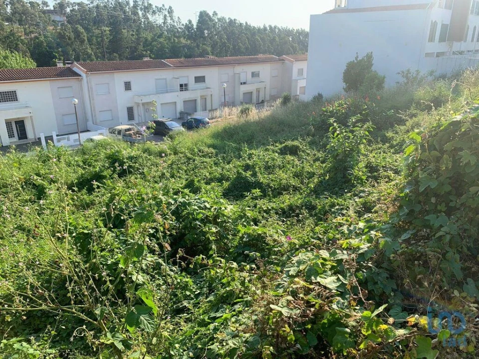 Terreno para Venda em Luso Foto 8