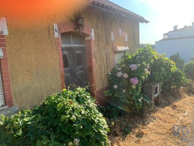 Terreno para Venda em Luso Foto 5