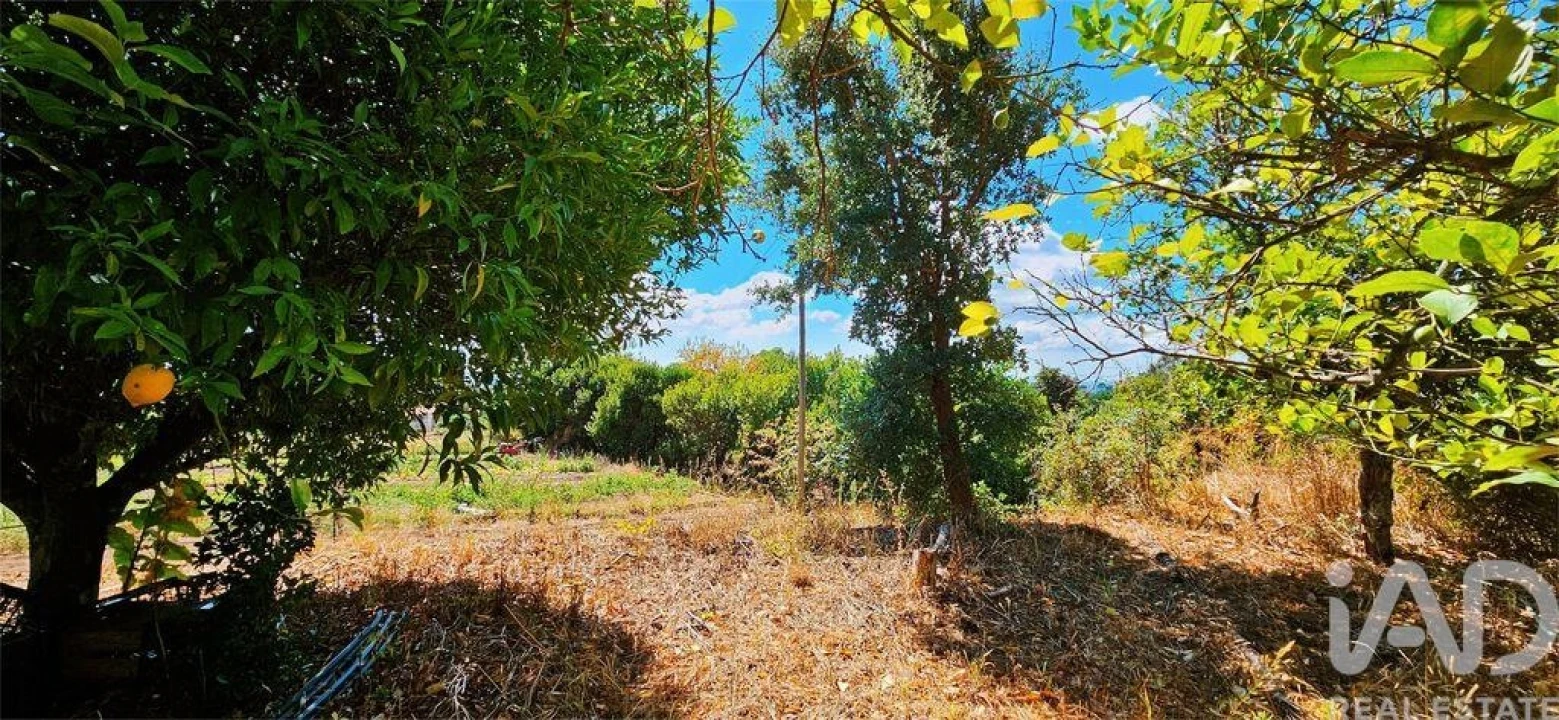 Moradia T2 para Venda em Monchique Foto 25