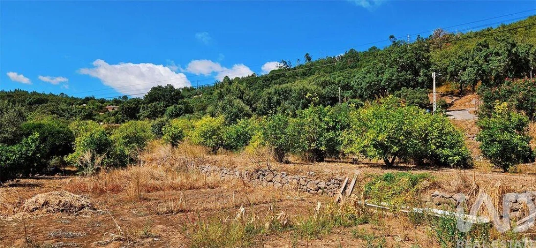 Moradia T2 para Venda em Monchique Foto 17