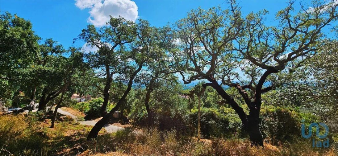 Moradia T2 para Venda em Monchique Foto 10