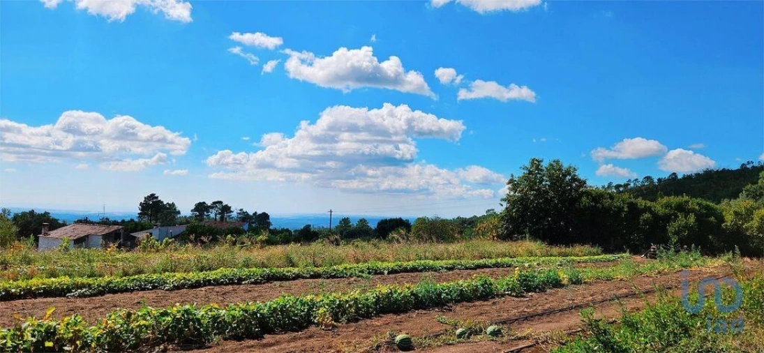 Moradia T2 para Venda em Monchique Foto 14