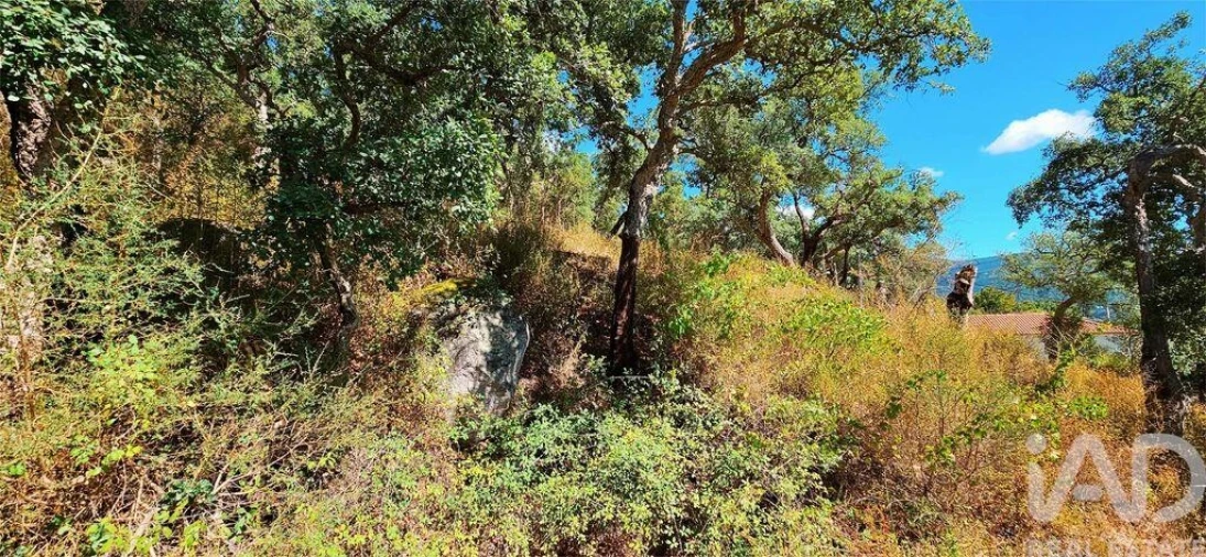 Moradia T2 para Venda em Monchique Foto 25