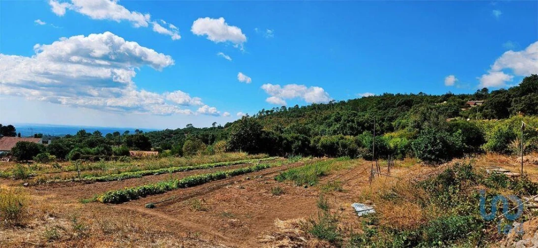 Moradia T2 para Venda em Monchique Foto 13