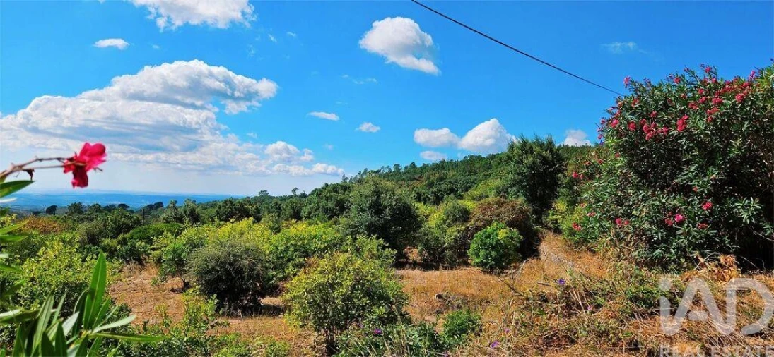 Moradia T2 para Venda em Monchique Foto 26