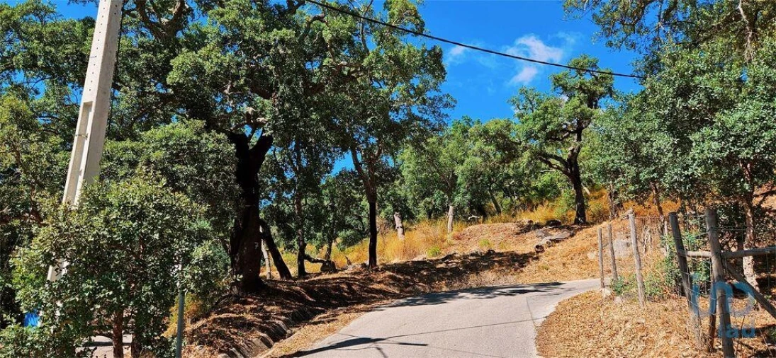 Moradia T2 para Venda em Monchique Foto 11