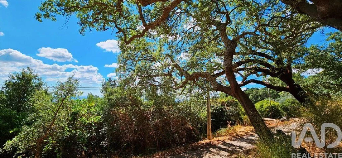 Moradia T2 para Venda em Monchique Foto 23